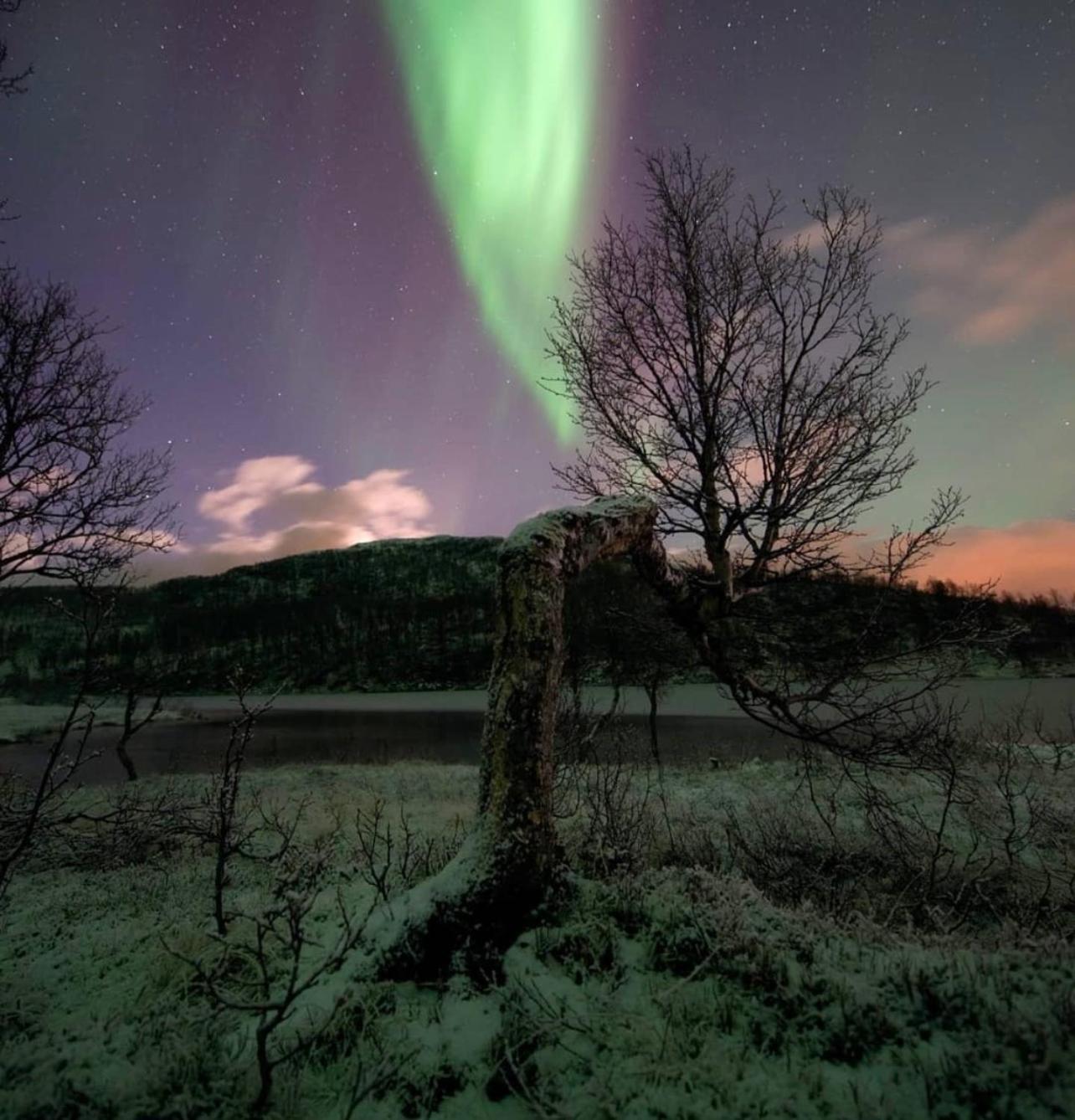 Harstad, All Seasons ภายนอก รูปภาพ